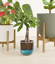 Load image into Gallery viewer, Whispering Waves stand:two_stands
