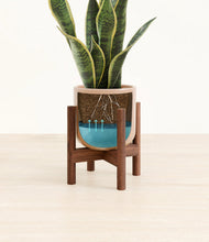 Load image into Gallery viewer, Glossy Pink stand:walnut
