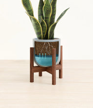 Load image into Gallery viewer, Misty Blue stand:walnut
