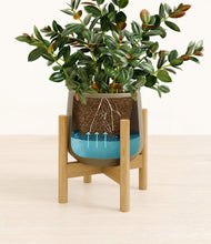 Load image into Gallery viewer, Olive stand:bamboo
