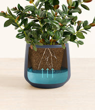 Load image into Gallery viewer, Deep Navy
