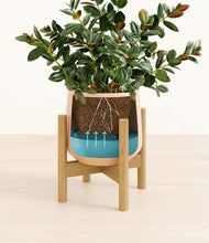 Load image into Gallery viewer, Gentle Pink stand:bamboo
