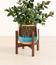 Load image into Gallery viewer, Gentle Pink stand:walnut
