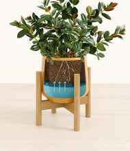 Load image into Gallery viewer, Mustard stand:bamboo
