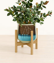 Load image into Gallery viewer, Turquoise stand:bamboo
