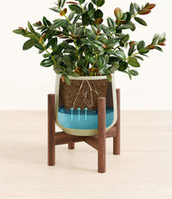 Load image into Gallery viewer, Turquoise stand:walnut
