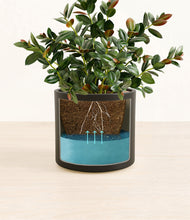 Load image into Gallery viewer, Black
