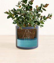 Load image into Gallery viewer, Deep Navy
