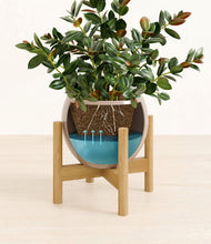 Load image into Gallery viewer, Desert Brown stand:bamboo
