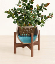 Load image into Gallery viewer, Desert Brown stand:walnut
