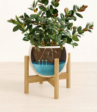 Load image into Gallery viewer, Shiny EggWhite stand:bamboo
