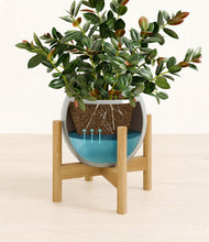 Load image into Gallery viewer, Deep Ocean stand:bamboo
