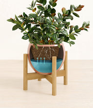 Load image into Gallery viewer, Calm Rose stand:bamboo
