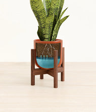 Load image into Gallery viewer, Glossy Red stand:walnut
