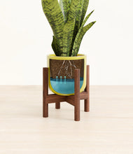Load image into Gallery viewer, Key Lime Yellow stand:walnut
