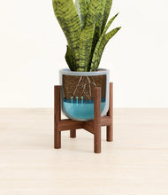 Load image into Gallery viewer, Misty Blue stand:walnut
