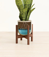 Load image into Gallery viewer, Sage Green stand:walnut
