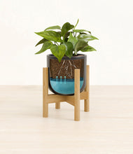 Load image into Gallery viewer, Stone Black stand:bamboo
