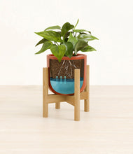 Load image into Gallery viewer, Glossy Red stand:bamboo
