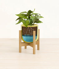 Load image into Gallery viewer, Key Lime Yellow stand:bamboo
