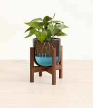 Load image into Gallery viewer, Stone Black stand:walnut
