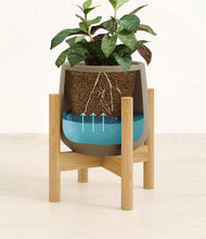 Load image into Gallery viewer, Olive stand:bamboo
