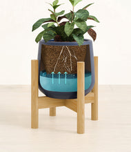 Load image into Gallery viewer, Deep Navy stand:bamboo
