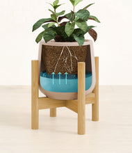 Load image into Gallery viewer, Eternal Gray stand:bamboo
