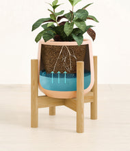 Load image into Gallery viewer, Gentle Pink stand:bamboo
