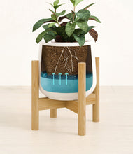 Load image into Gallery viewer, White stand:bamboo
