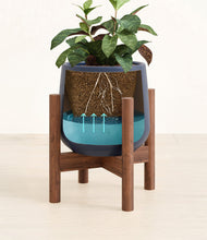 Load image into Gallery viewer, Deep Navy stand:walnut
