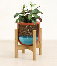 Load image into Gallery viewer, Glossy Red stand:bamboo
