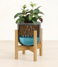 Load image into Gallery viewer, Iron Gray stand:bamboo
