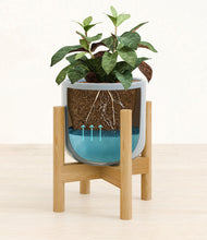 Load image into Gallery viewer, Misty Blue stand:bamboo
