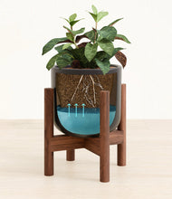 Load image into Gallery viewer, Stone Black stand:walnut
