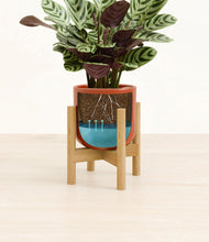 Load image into Gallery viewer, Glossy Red stand:bamboo
