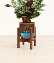 Load image into Gallery viewer, Glossy Red stand:walnut
