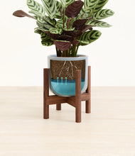 Load image into Gallery viewer, Misty Blue stand:walnut
