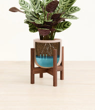 Load image into Gallery viewer, Sandy Pink stand:walnut
