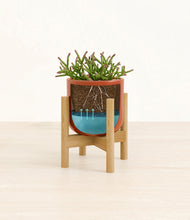 Load image into Gallery viewer, Glossy Red stand:bamboo
