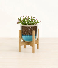 Load image into Gallery viewer, Sage Green stand:bamboo
