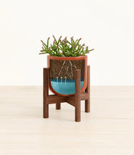 Load image into Gallery viewer, Glossy Red stand:walnut
