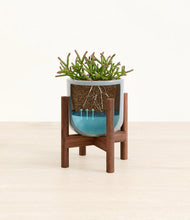 Load image into Gallery viewer, Misty Blue stand:walnut
