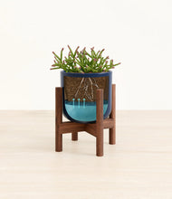 Load image into Gallery viewer, Twilight Blue stand:walnut

