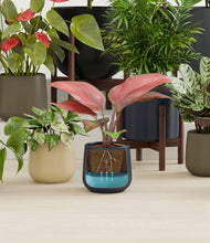 Load image into Gallery viewer, Winding River stand:nine_stands
