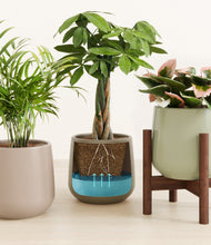 Load image into Gallery viewer, Earthy stand:one_stand
