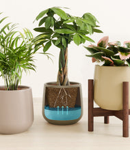 Load image into Gallery viewer, Woodland stand:one_stand
