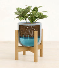 Load image into Gallery viewer, Misty Blue stand:bamboo
