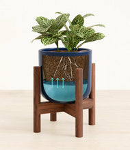 Load image into Gallery viewer, Twilight Blue stand:walnut
