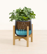 Load image into Gallery viewer, Deep Navy stand:bamboo
